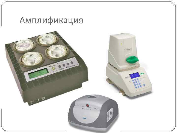 Амплификация 