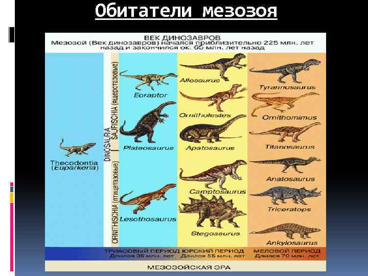 Обитатели мезозоя 