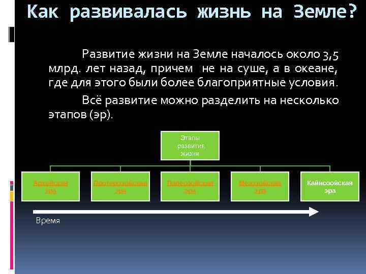 Как развивалась жизнь на Земле? Развитие жизни на Земле началось около 3, 5 млрд.