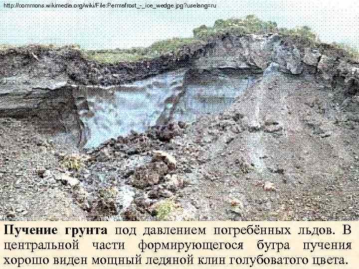 http: //commons. wikimedia. org/wiki/File: Permafrost_-_ice_wedge. jpg? uselang=ru Пучение грунта под давлением погребённых льдов. В