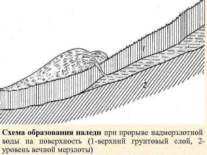 Схема образования наледи прорыве надмерзлотной воды на поверхность (1 -верхний грунтовый слой, 2 уровень