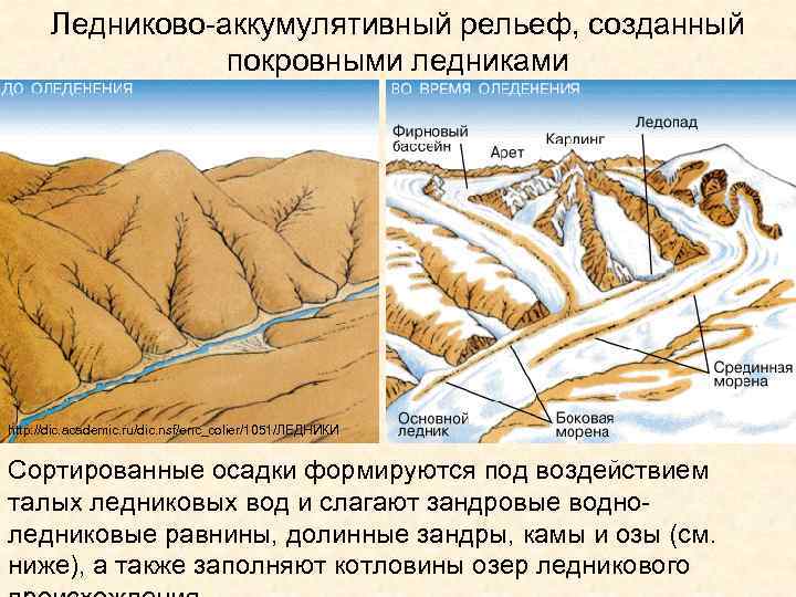 Ледниково-аккумулятивный рельеф, созданный покровными ледниками http: //dic. academic. ru/dic. nsf/enc_colier/1051/ЛЕДНИКИ Сортированные осадки формируются под