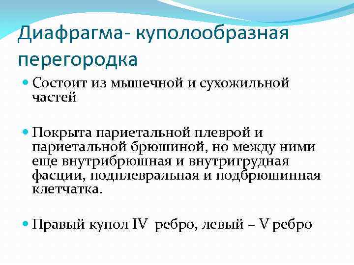 Диафрагма- куполообразная перегородка Состоит из мышечной и сухожильной частей Покрыта париетальной плеврой и париетальной