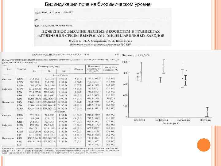 Биоиндикация почв на биохимическом уровне 