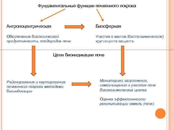 Фундаментальные функции почвенного покрова Антропоцентрическая Биосферная Обеспечение биологической продуктивности, плодородие почв Участие в малом