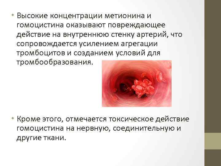  • Высокие концентрации метионина и гомоцистина оказывают повреждающее действие на внутреннюю стенку артерий,