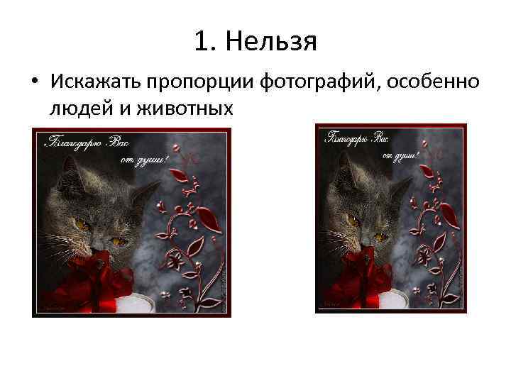 1. Нельзя • Искажать пропорции фотографий, особенно людей и животных 