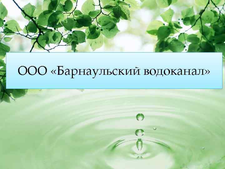 ООО «Барнаульский водоканал» 