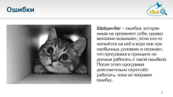 Ошибки Шрёдинбаг – ошибка, которая никак не проявляет себя, однако внезапно возникает, если кто-то