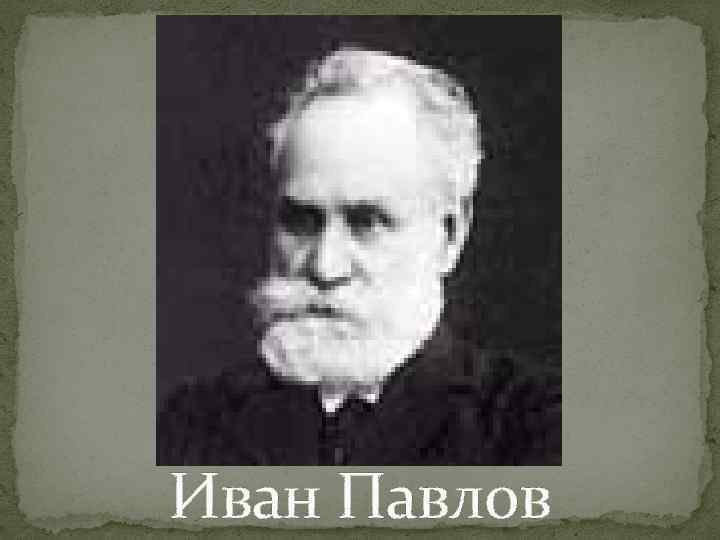 Иван Павлов 