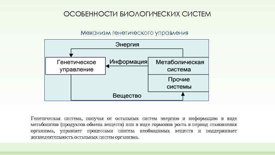 Системы управления в биологии презентация