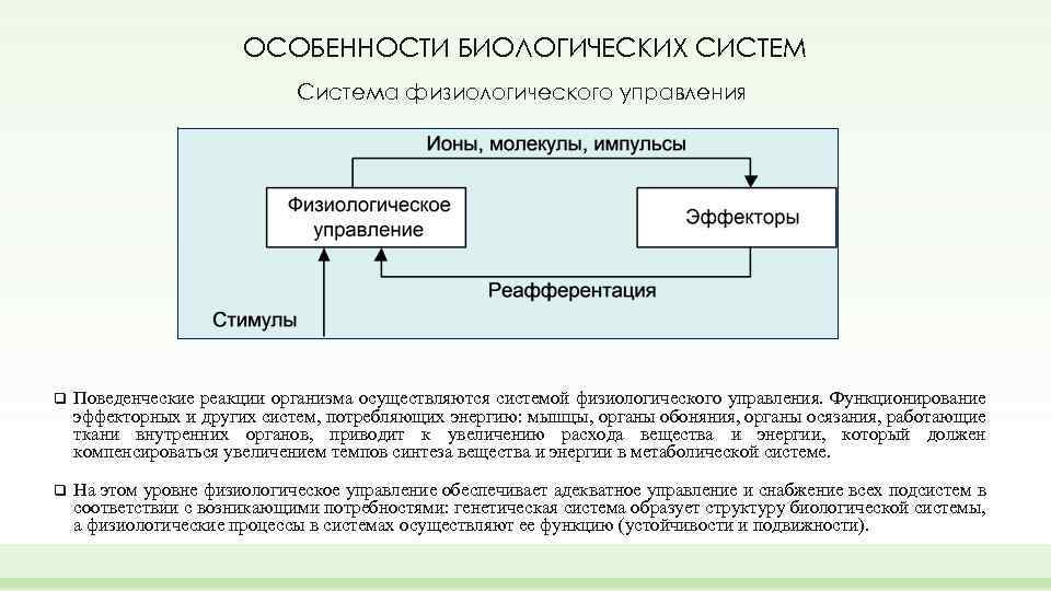 Системы управления в биологии презентация