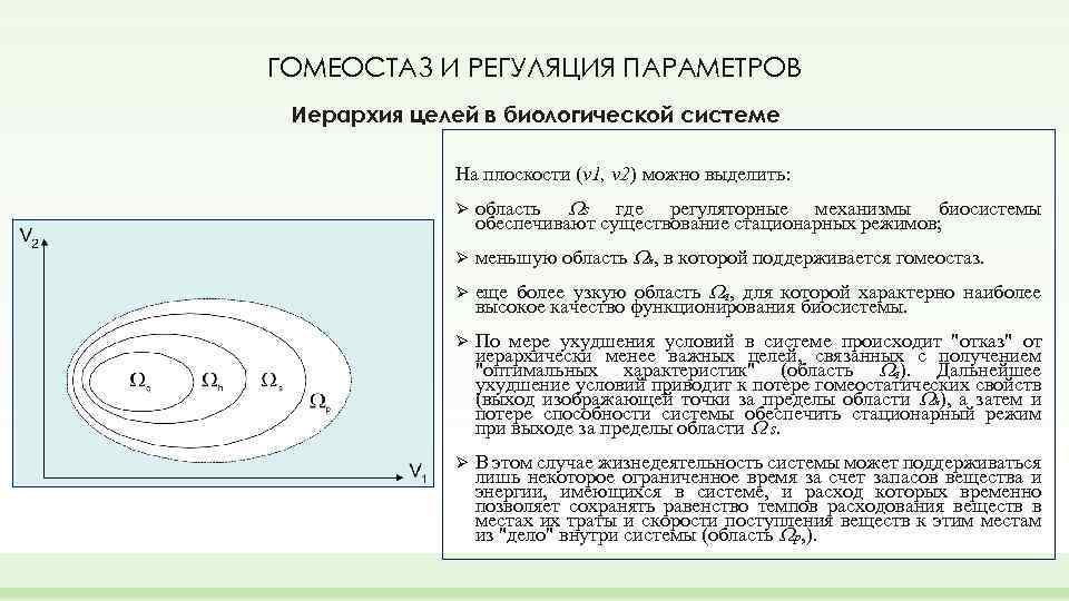 ГОМЕОСТАЗ И РЕГУЛЯЦИЯ ПАРАМЕТРОВ Иерархия целей в биологической системе На плоскости (v 1, v