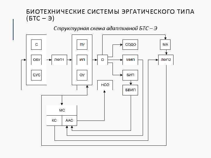 БИОТЕХНИЧЕСКИЕ СИСТЕМЫ ЭРГАТИЧЕСКОГО ТИПА (БТС – Э) Структурная схема адаптивной БТС – Э 