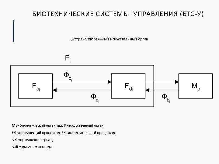 БИОТЕХНИЧЕСКИЕ СИСТЕМЫ УПРАВЛЕНИЯ (БТС-У) Экстракорпоральный искусственный орган Мb- биологический организм, Fi-искусственный орган, Fci-управляющий процессор,