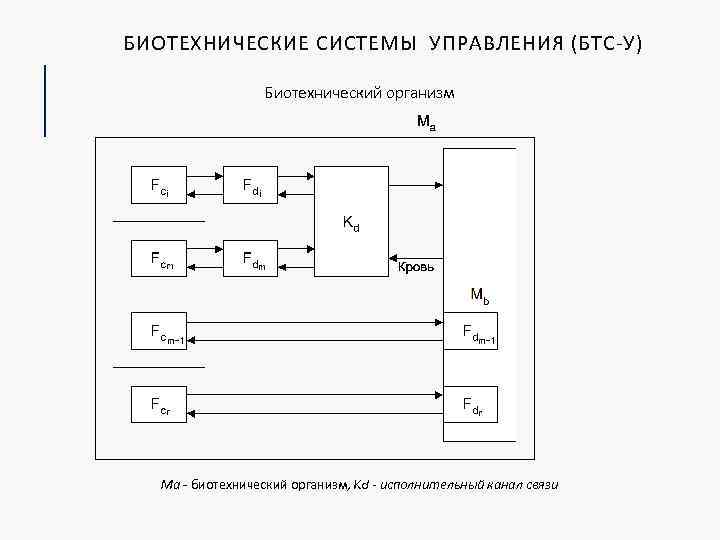 БИОТЕХНИЧЕСКИЕ СИСТЕМЫ УПРАВЛЕНИЯ (БТС-У) Биотехнический организм Ма - биотехнический организм, Kd - исполнительный канал