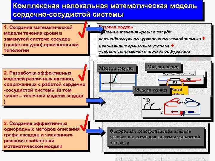 Комплексная нелокальная математическая модель сердечно-сосудистой системы 1. Создание математической модели течения крови в замкнутой