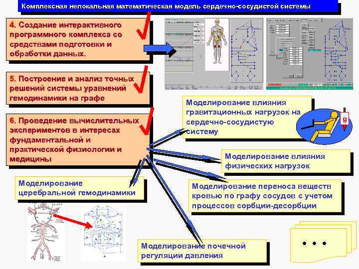 Комплексная нелокальная математическая модель сердечно-сосудистой системы 4. Создание интерактивного программного комплекса со средствами подготовки