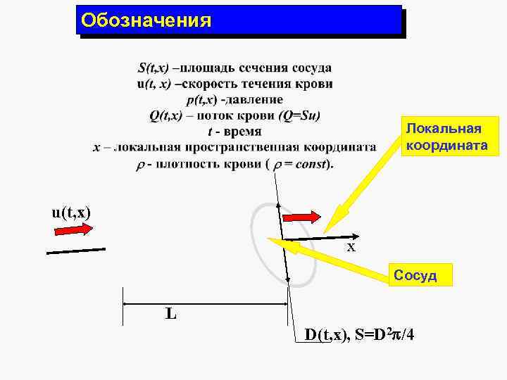 Обозначения Локальная координата u(t, x) x Сосуд L D(t, x), S=D 2 /4 