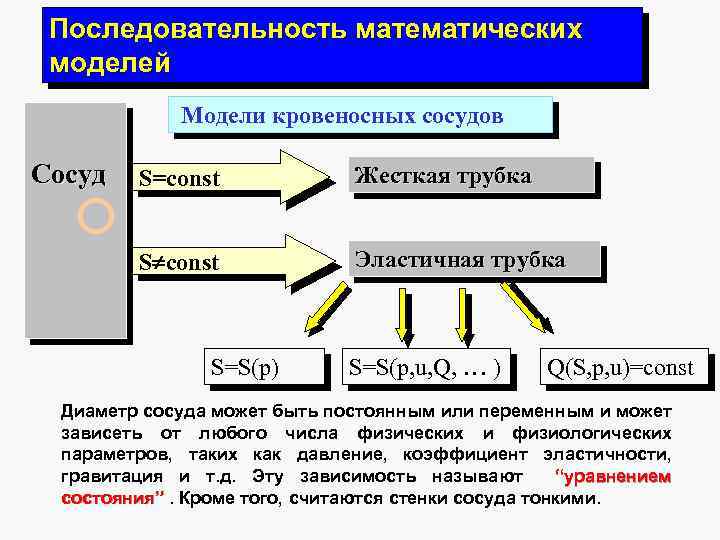 Последовательность математических моделей Модели кровеносных сосудов Сосуд S=const Жесткая трубка S const Эластичная трубка