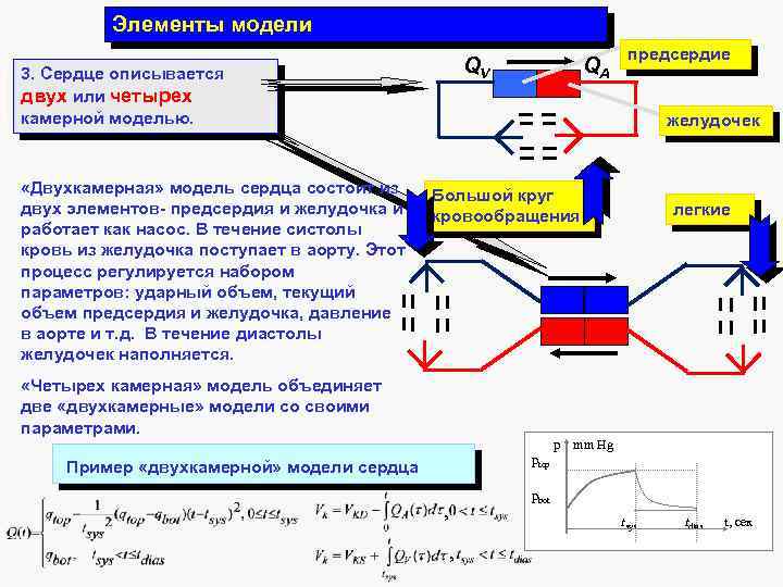 Элементы модели 3. Сердце описывается двух или четырех камерной моделью. «Двухкамерная» модель сердца состоит