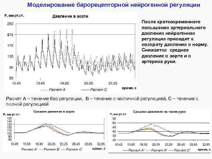 Моделирование барорецепторной нейрогенной регуляции После кратковременного повышения артериального давления нейрогенная регуляция приводит к возврату