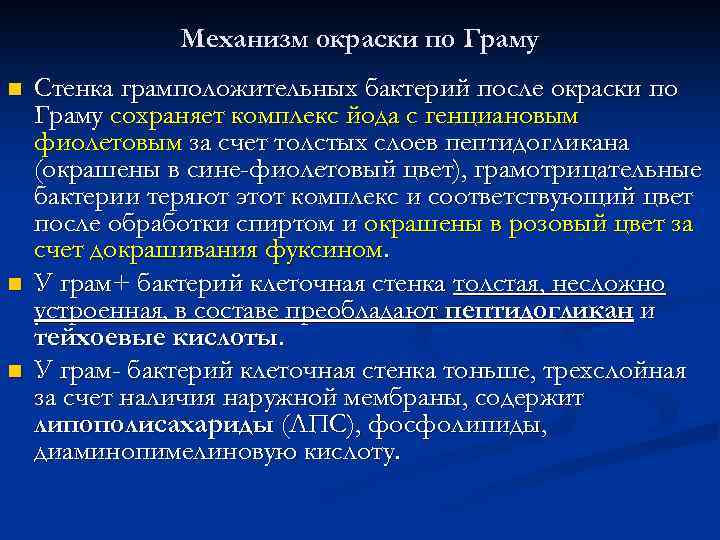 Механизм окраски по Граму n n n Стенка грамположительных бактерий после окраски по Граму