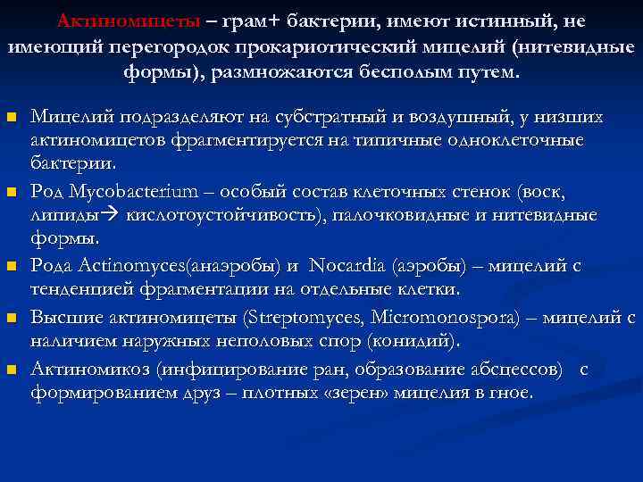 Актиномицеты – грам+ бактерии, имеют истинный, не имеющий перегородок прокариотический мицелий (нитевидные формы), размножаются