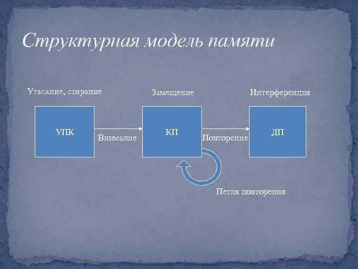 Структурная модель памяти Угасание, стирание Замещение УПК КП Внимание Интерференция Повторение ДП Петля повторения