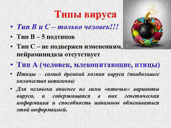 Типы вируса • Тип В и С – только человек!!! • Тип В –