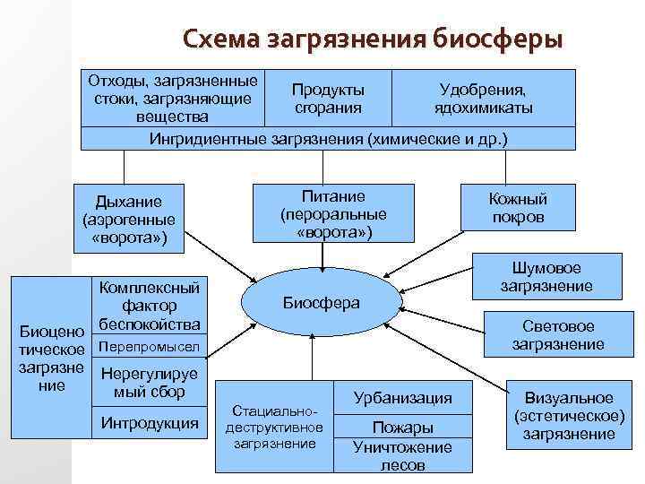 Схема загрязнения биосферы Отходы, загрязненные Продукты Удобрения, стоки, загрязняющие сгорания ядохимикаты вещества Ингридиентные загрязнения