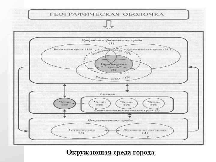 Окружающая среда города 