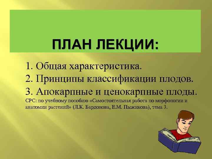 ПЛАН ЛЕКЦИИ: 1. Общая характеристика. 2. Принципы классификации плодов. 3. Апокарпные и ценокарпные плоды.