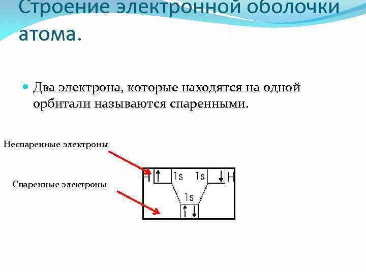 Строение электронной оболочки атома. Два электрона, которые находятся на одной орбитали называются спаренными. Неспаренные