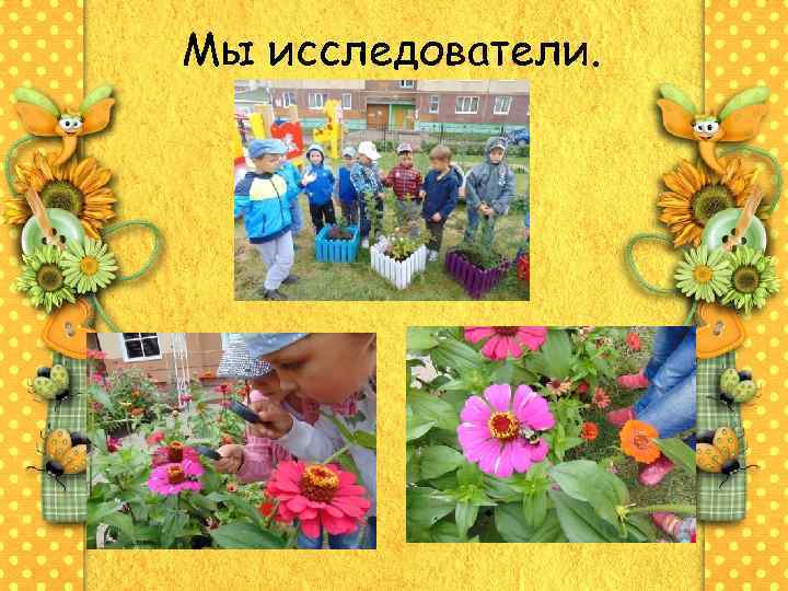 Мы исследователи. 