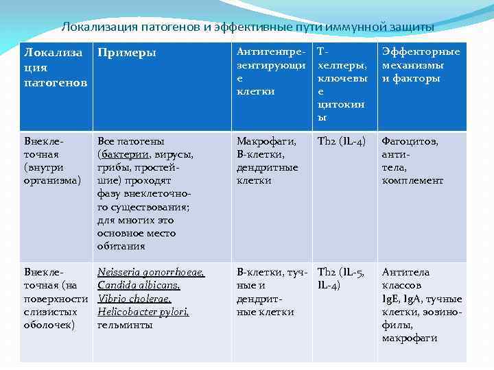 Локализация патогенов и эффективные пути иммунной защиты Локализа Примеры ция патогенов Антигенпрезентирующи е клетки