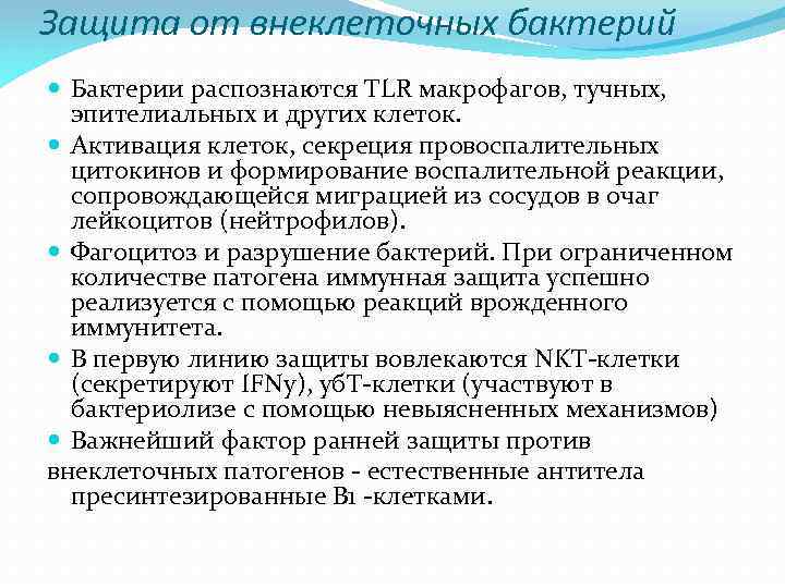 Защита от внеклеточных бактерий Бактерии распознаются TLR макрофагов, тучных, эпителиальных и других клеток. Активация