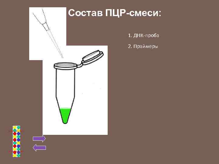 Состав ПЦР-смеси: 1. ДНК-проба 2. Праймеры 