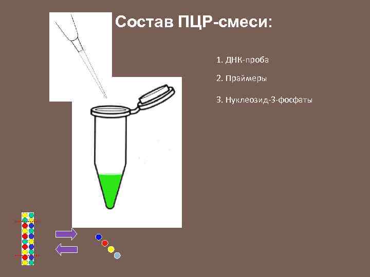 Состав ПЦР-смеси: 1. ДНК-проба 2. Праймеры 3. Нуклеозид-3 -фосфаты 