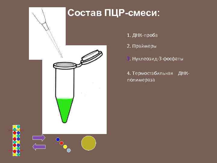 Состав ПЦР-смеси: 1. ДНК-проба 2. Праймеры 3. Нуклеозид-3 -фосфаты 4. Термостабильная ДНКполимераза 