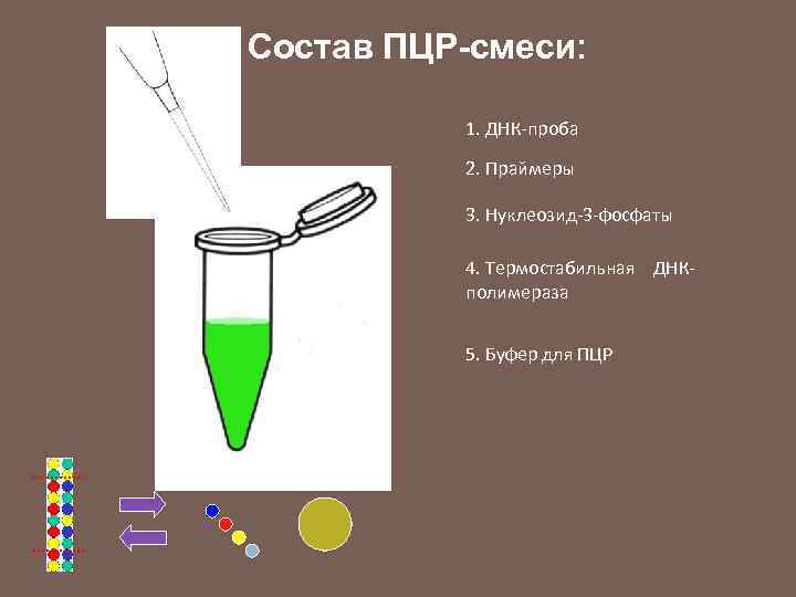 Состав ПЦР-смеси: 1. ДНК-проба 2. Праймеры 3. Нуклеозид-3 -фосфаты 4. Термостабильная ДНКполимераза 5. Буфер