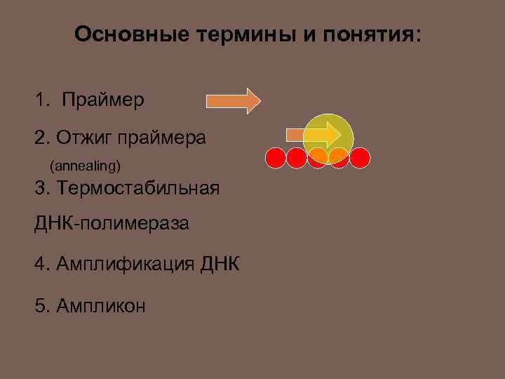 Основные термины и понятия: 1. Праймер 2. Отжиг праймера (annealing) 3. Термостабильная ДНК-полимераза 4.