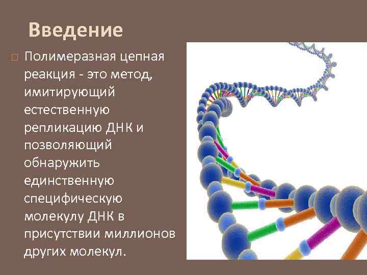 Полимеразная цепная реакция днк