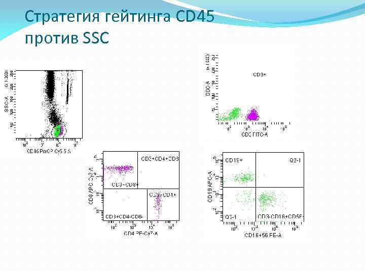 Стратегия гейтинга CD 45 против SSC 