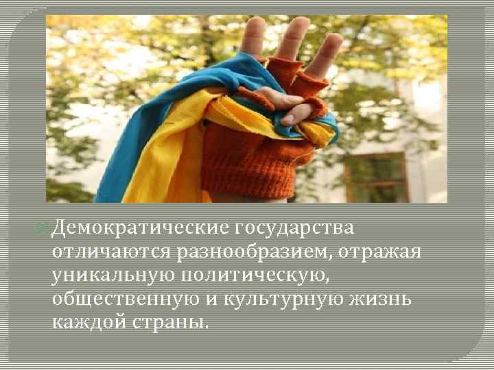  Демократические государства отличаются разнообразием, отражая уникальную политическую, общественную и культурную жизнь каждой страны.