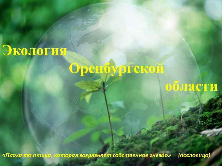 Экология Оренбургской области «Плоха та птица, которая загрязняет собственное гнездо» (пословица) 