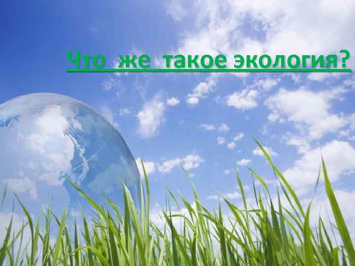 Что же такое экология? 