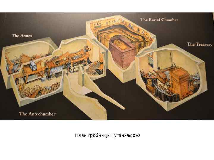 План гробницы Тутанхамона 