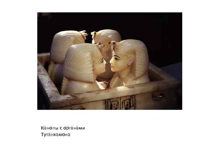 Канопы с органами Тутанхамона 