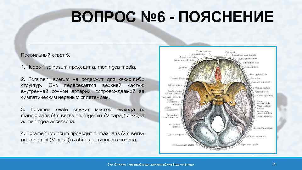 ВОПРОС № 6 - ПОЯСНЕНИЕ Правильный ответ 5. 1. Через f. spinosum проходит a.